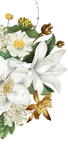 Floral Decoration