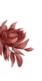 Floral Decoration