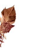 Floral Decoration