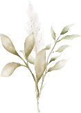 Floral Decoration