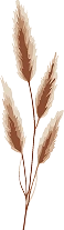 Floral Decoration