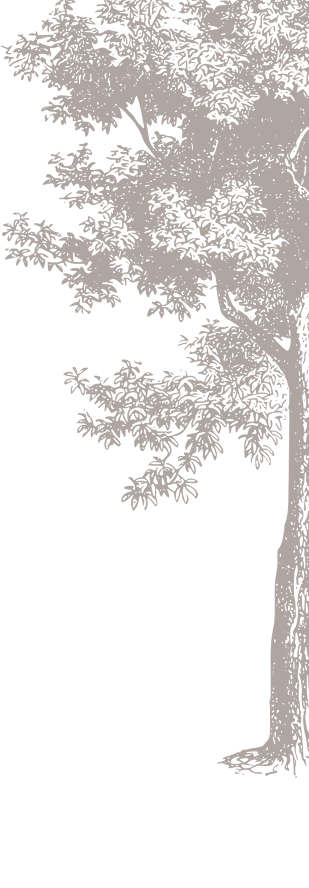 Right Tree