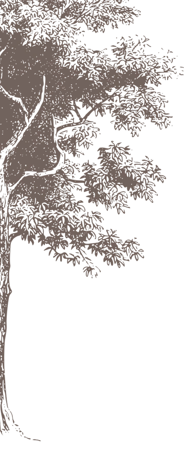 Left Tree