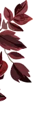 Floral Decoration