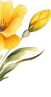 Floral Decoration