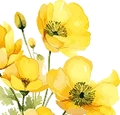Floral Decoration