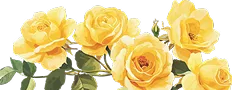 Floral Decoration